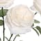 18.5" Cabbage Rose Deluxe Bush by Ashland®
